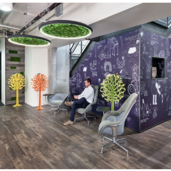 This would be a gorgeous look for a tech office in San Francisco.